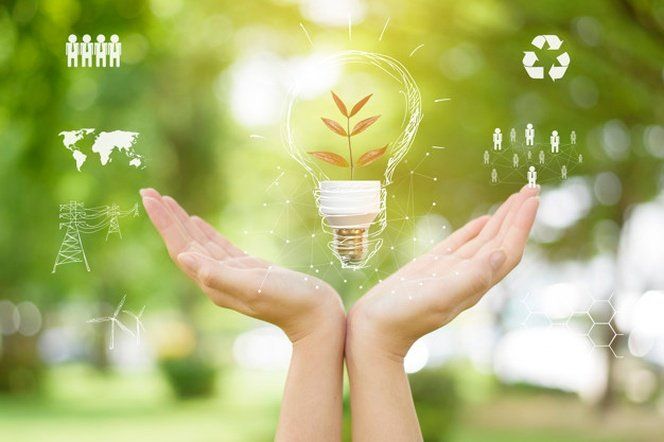 ECOLUZ | Energía 100% Verde y Gas | Grupo Ecosolaris