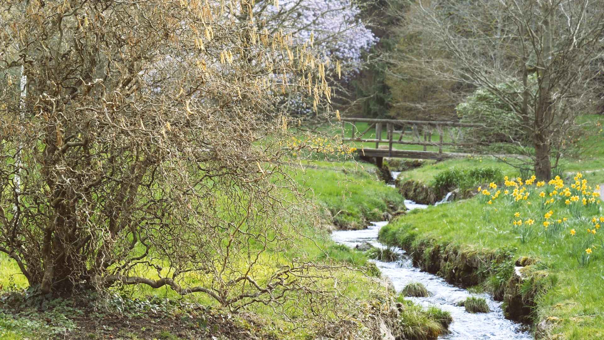 janaki's Yogagarten Heike Geist Gernsbach Gaggenau
