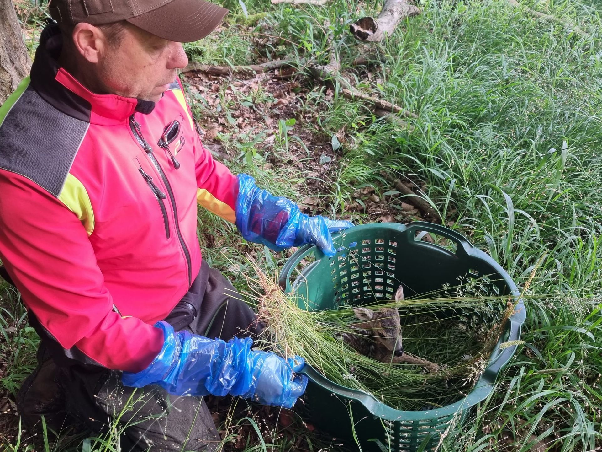 Rehkitzrettung Bruchsal I