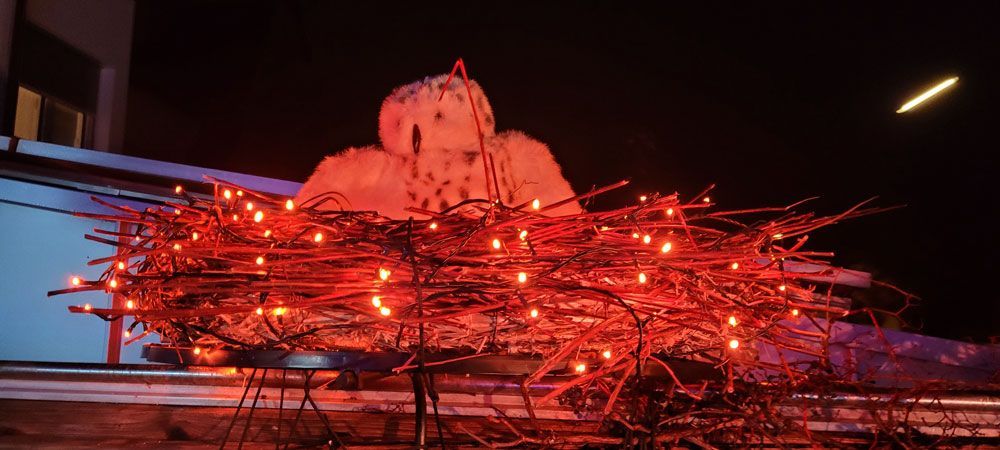 Weihnachtshaus Totale Das Weihnachtshaus in Olching