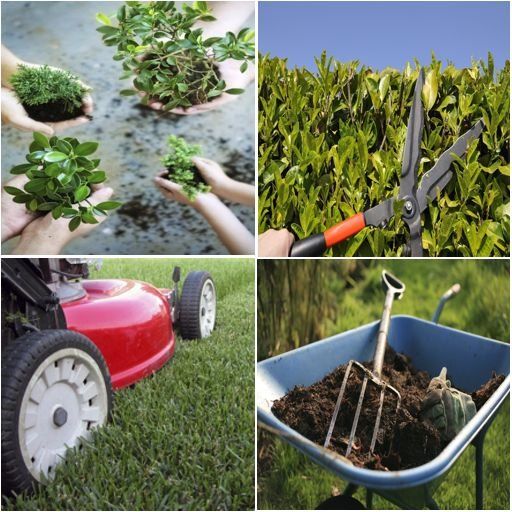 Gartenpflege Pflanzen Rasenmäher Heckenschere Schubkarre