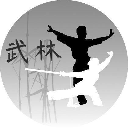 Wu Lin Kung Fu Wushu à Orléans
