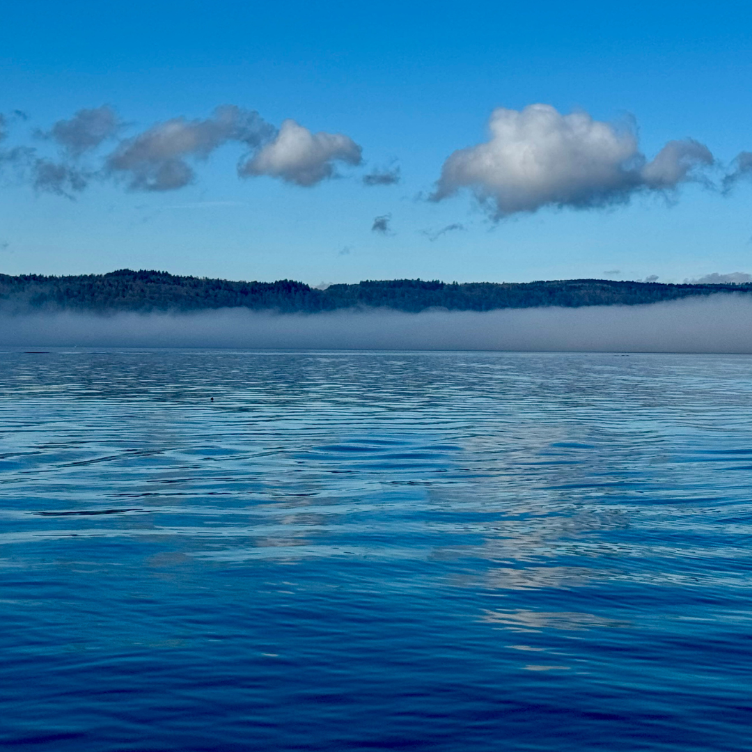 ein weiterer schöner Tag am Bpdensee besondere Stimmung am Bodensee