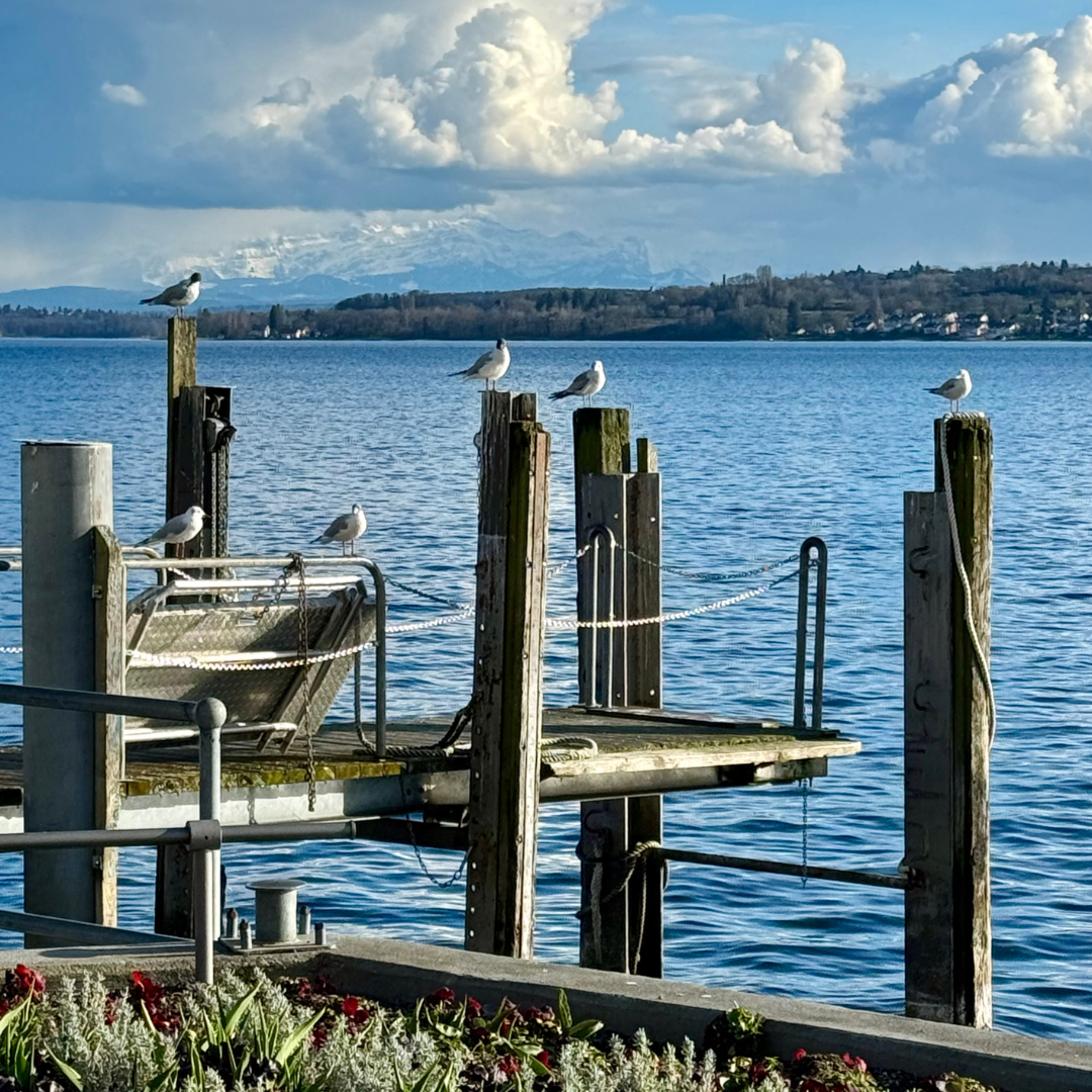 Berge und See Fastenwandern am Bodensee | fastenfit