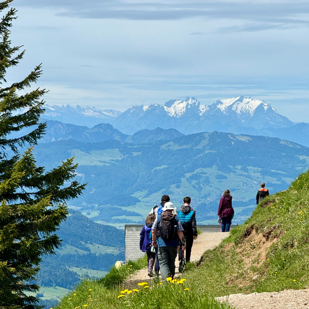 Blick auf die Alpen - Fastenwandern mit fastenfit
