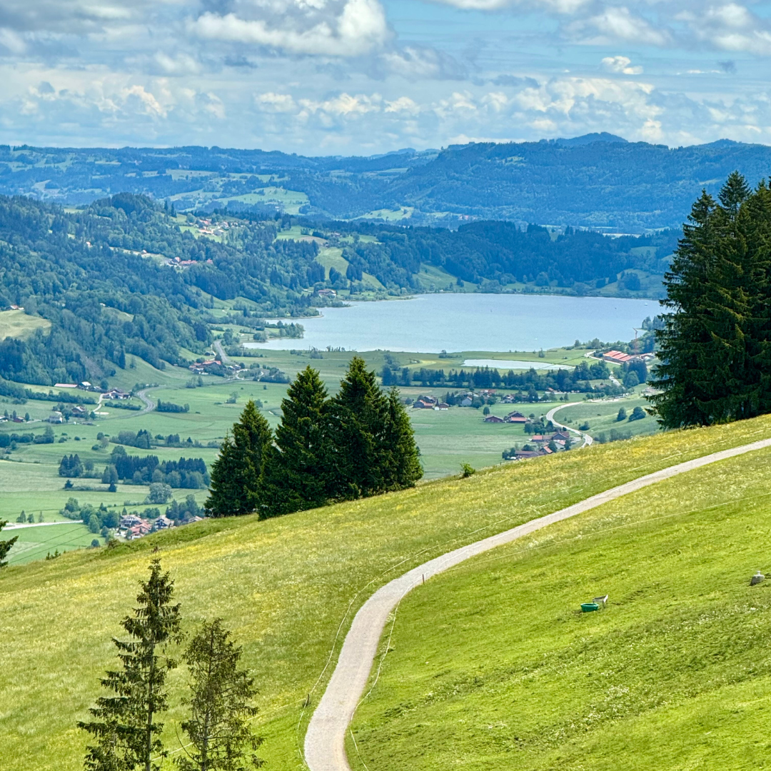 Wanderung auf dem Hündle Blick auf den Alpsee