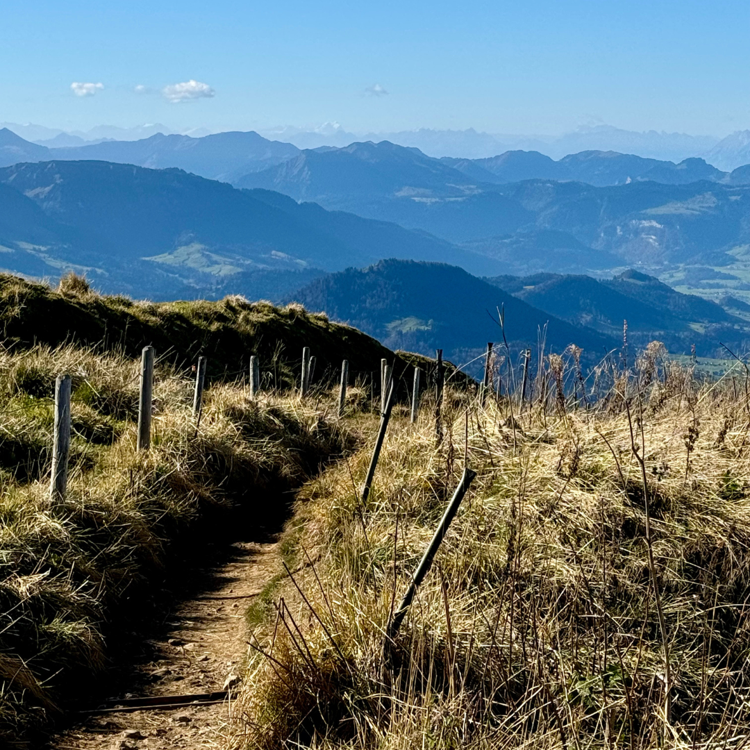 Auf dem Hochgrat Auf der Nagelfluhkette