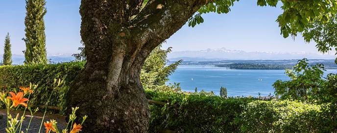 Bodenseepanorama auf der Fastenwanderwoche mit fastenfit