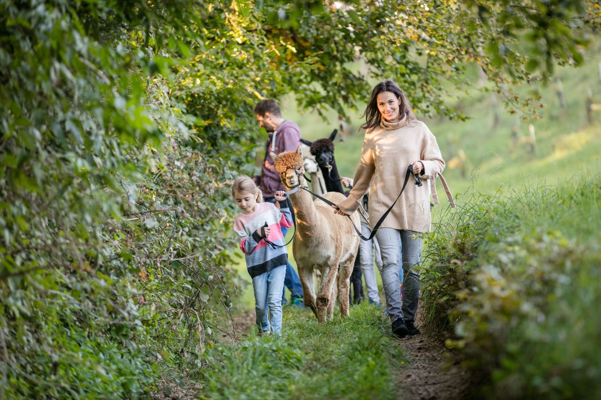 Thermen- & Vulkanland Steiermark/Eisenberger Thermen- & Vulkanland Steiermark/Eisenberger