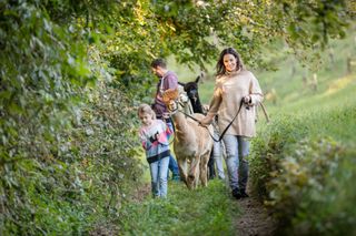 Thermen- & Vulkanland Steiermark/Eisenberger Thermen- & Vulkanland Steiermark/Eisenberger