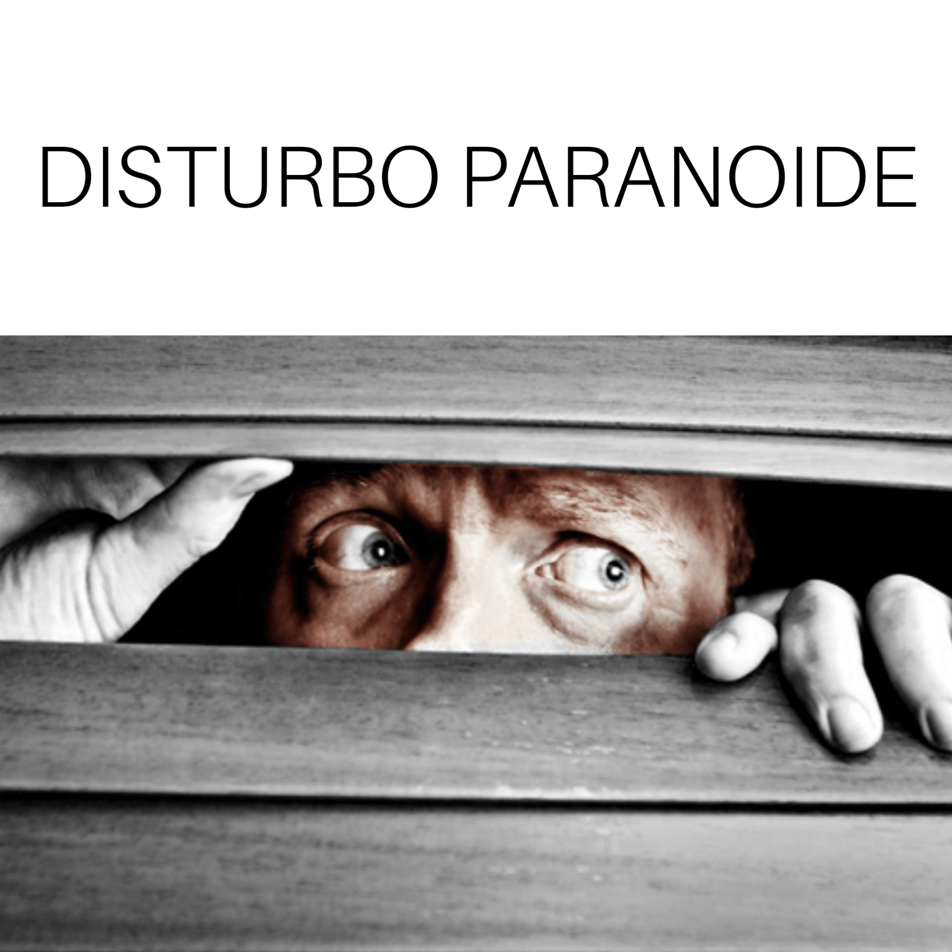 DISTURBo paranoide