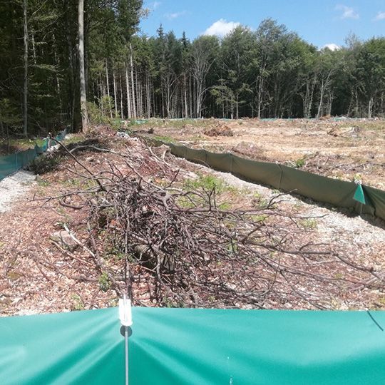 Fernwärmeleitung, Pullach, Umweltplanung