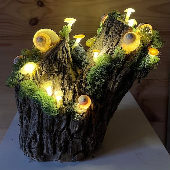 Bebauter Ast mit leuchtenden Pilzen und Schneckenhäusern und Moos