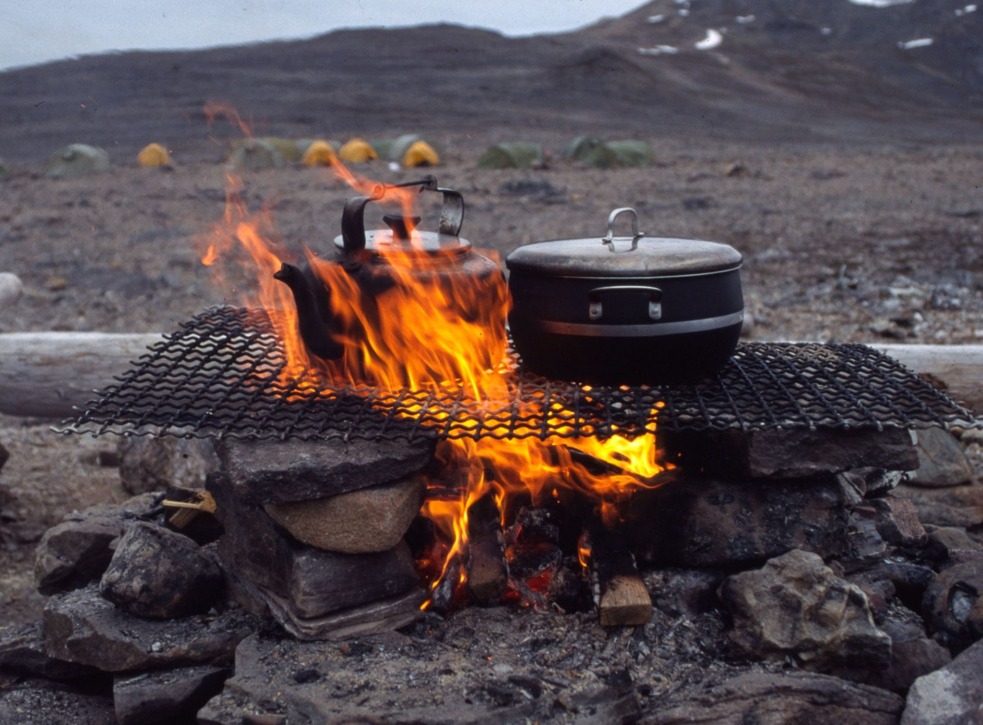 Muurikka bei Fred Mack Dein Ausrüster