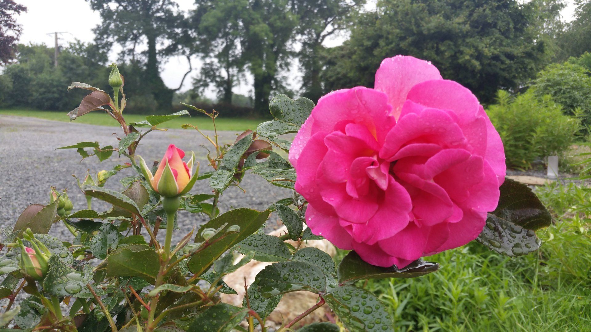 100 % Nature , Calme et tranquillité c'est cela le Camping la Ferme d'Isson