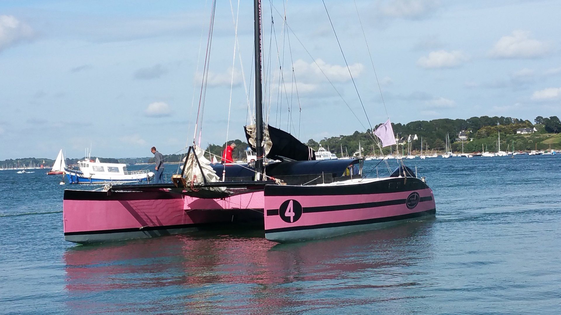catamaran golfe du morbihan