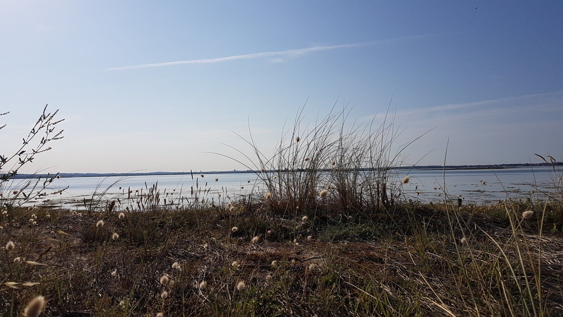 A 3 minutes en voiture de la plage de Pen-Bé le camping la Ferme D'Isson vous accueille dans un cadre reposant camping la ferme d'isson Asserac loire atlantique