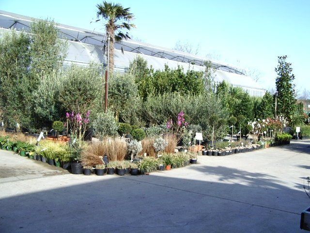 Pépinière Gicquiaud  plantes planter au camping d'Isson