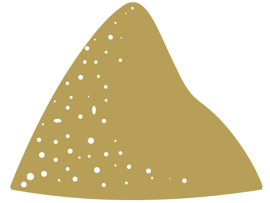 Formation initiale, formation continue, remise à niveau... L'Institut du Jeu de sable