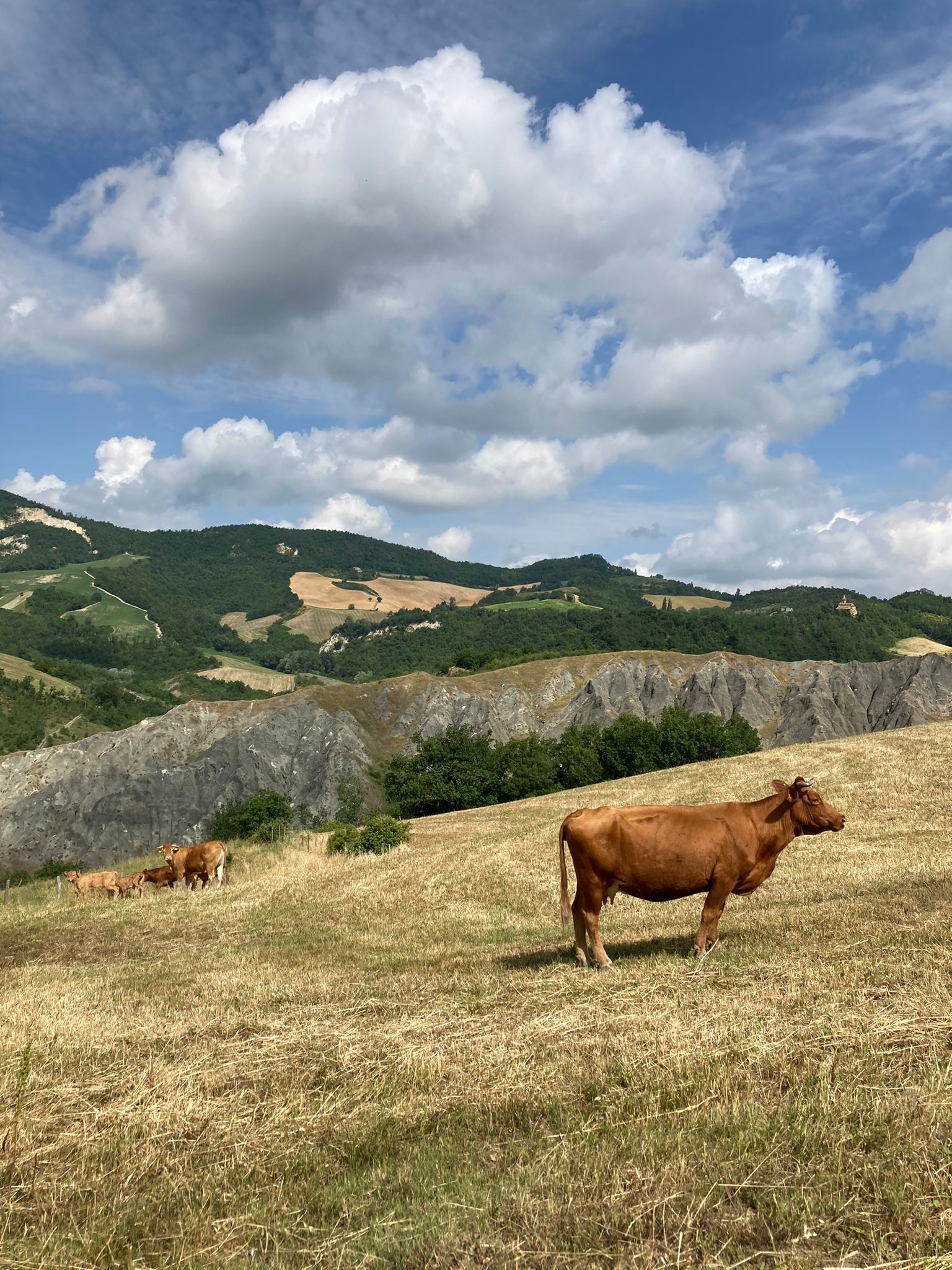 GALLERIA IMMAGINI GALLERIA IMMAGINI