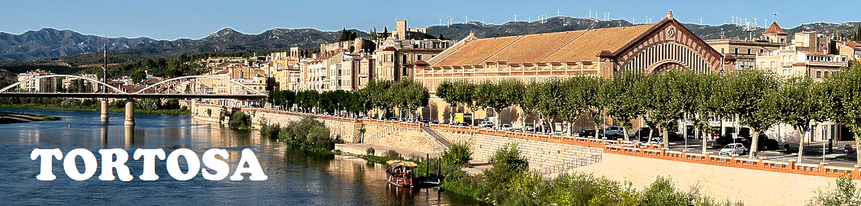 Mudanzas Tortosa TORTOSA