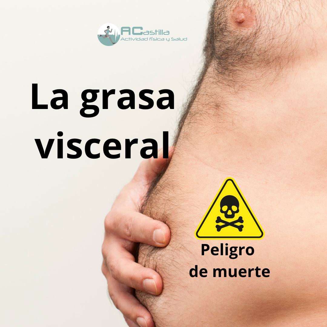 La grasa visceral, peligro de muerte.