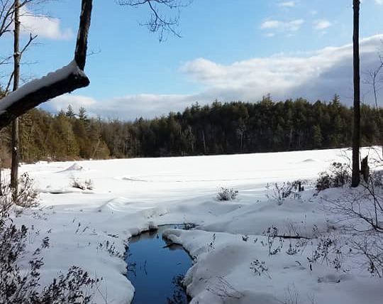 snow covered pond