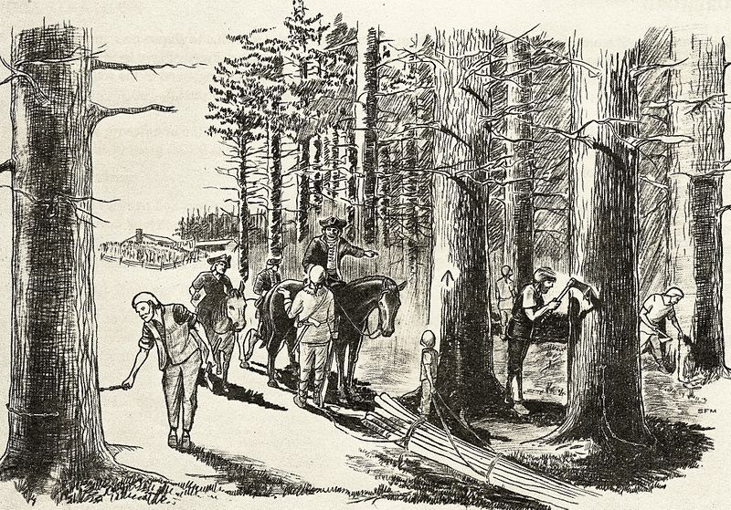 Colonial men in a forest notching trees
