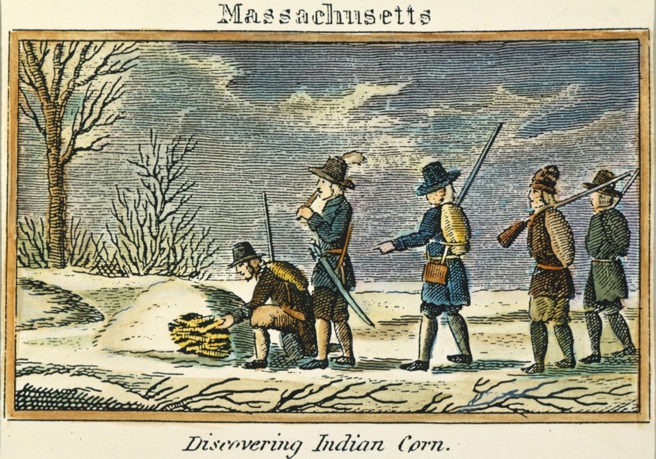 Pilgrims uncovering cach of Indian Corn