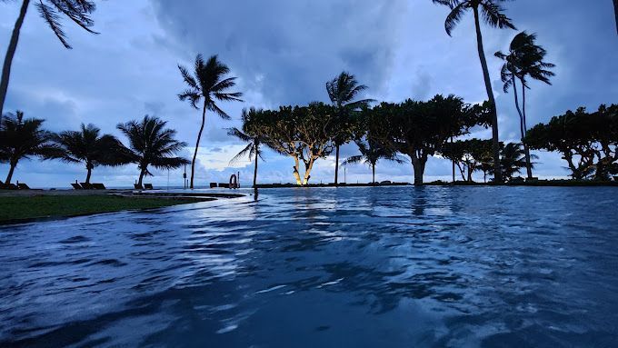 Hikka Tranz by Cinnamon