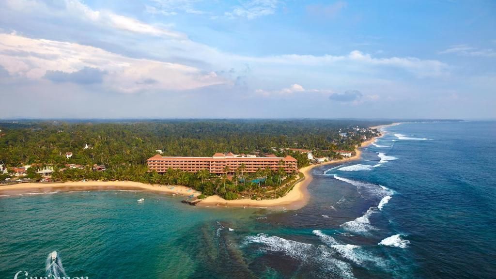 Hikka Tranz by Cinnamon