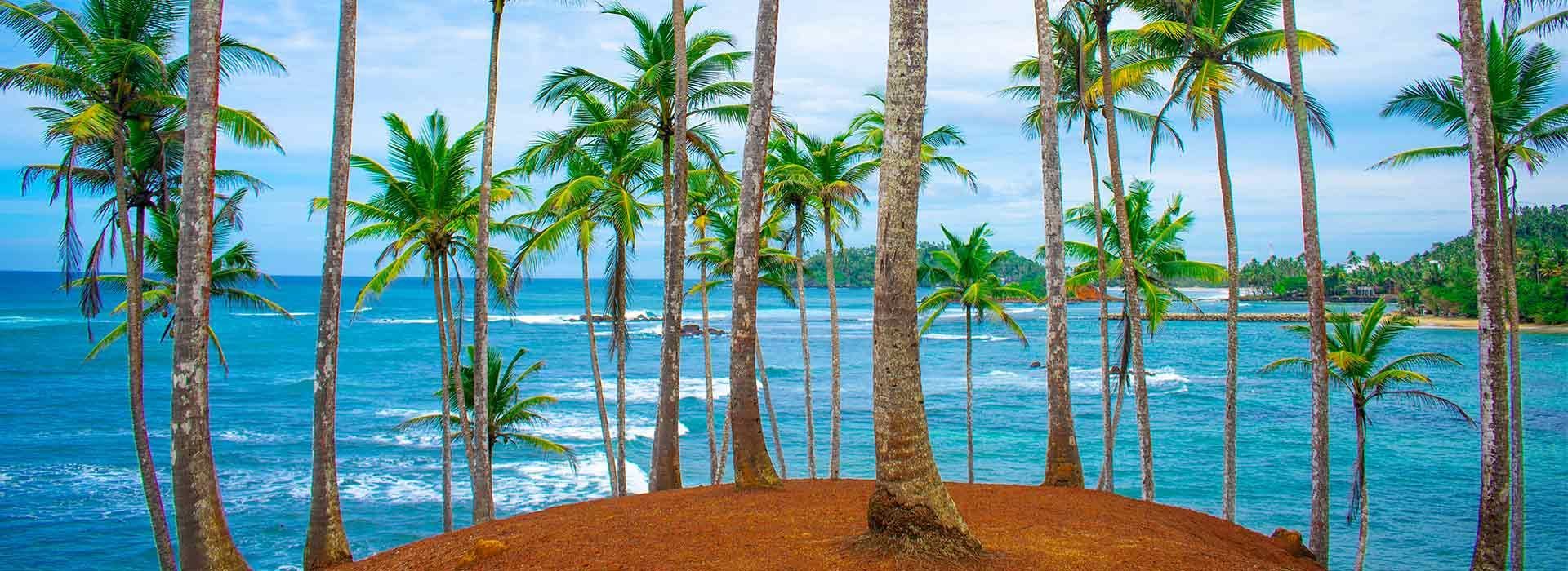 Coconut Hill Mirissa