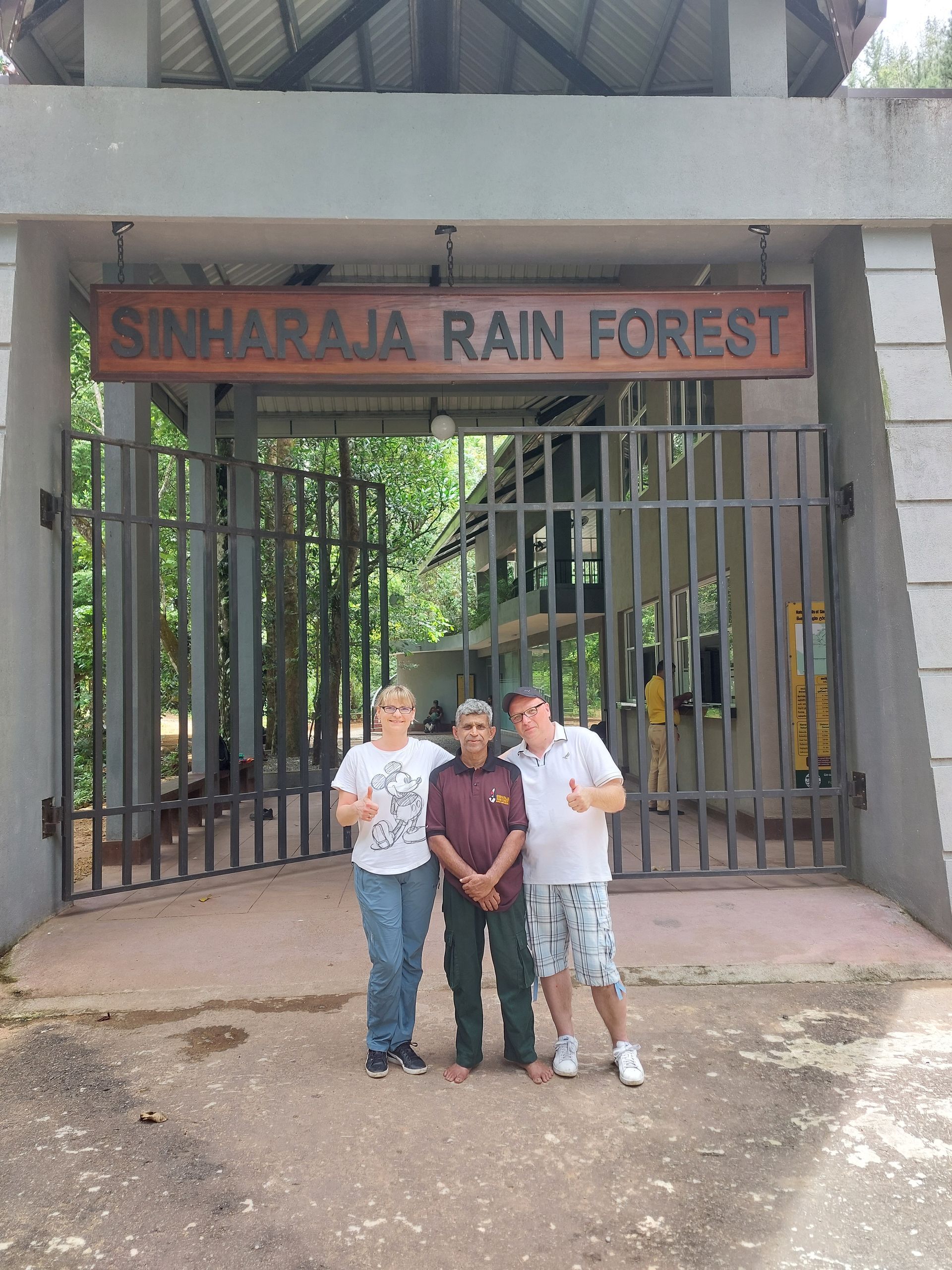 Sinharaja Regenwald Rainforest Wanderung