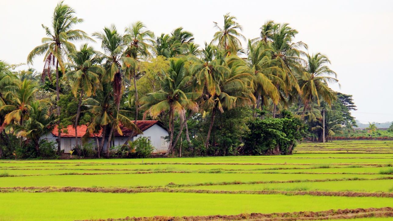 Village Tour Sri Lanka