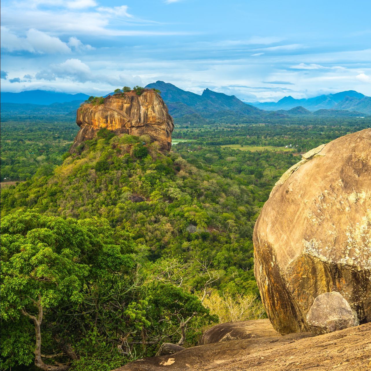 Der felsen von Sigiriya von Pidurangala aus gesenen Sri Lanka Ausflüge