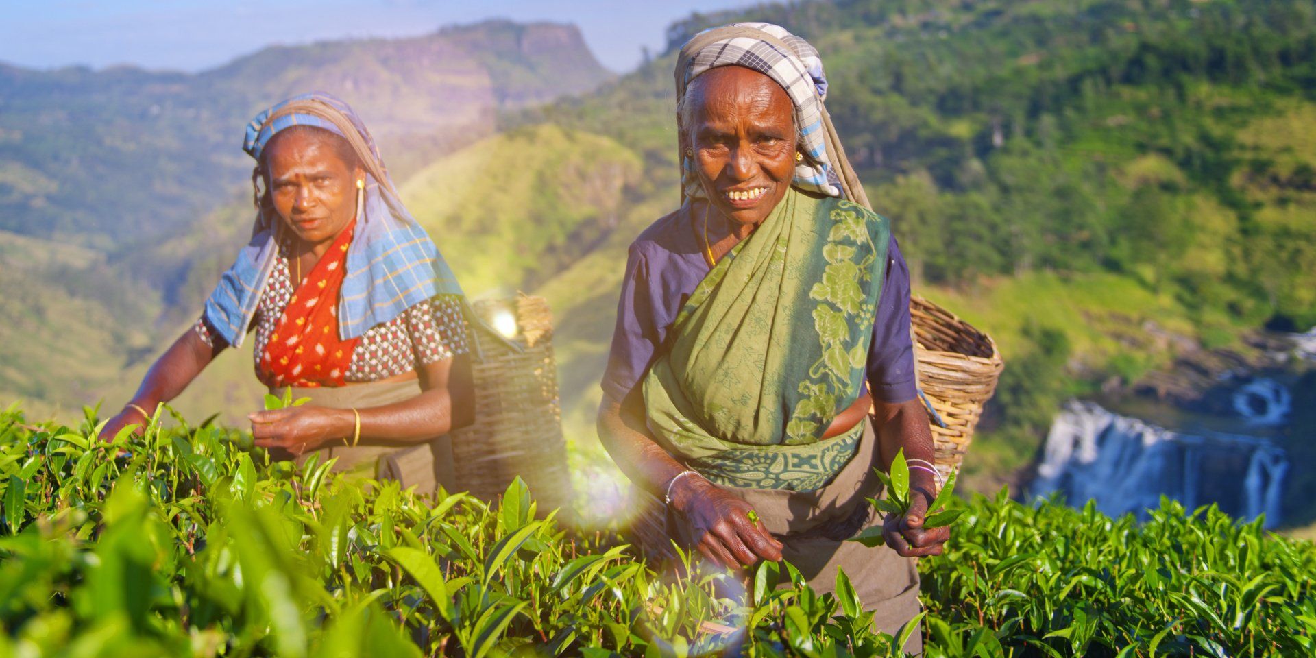 Teepflückerin in Sri Lanka bei der Arbeit Unsere beliebteste Sri Lanka Rundreise