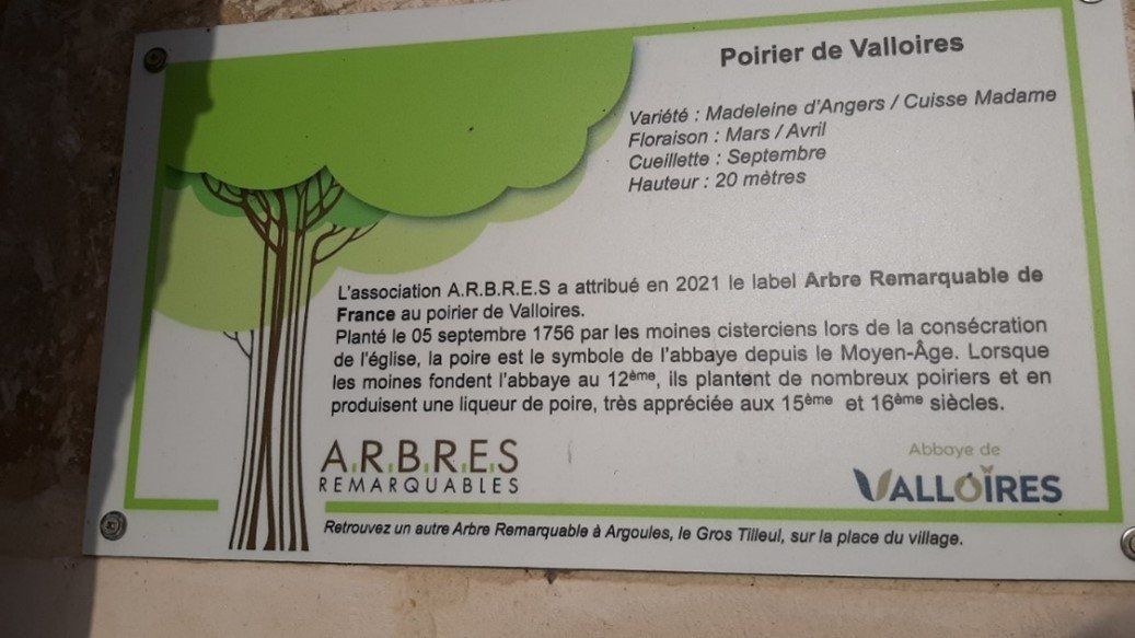 2022-Valloires-6