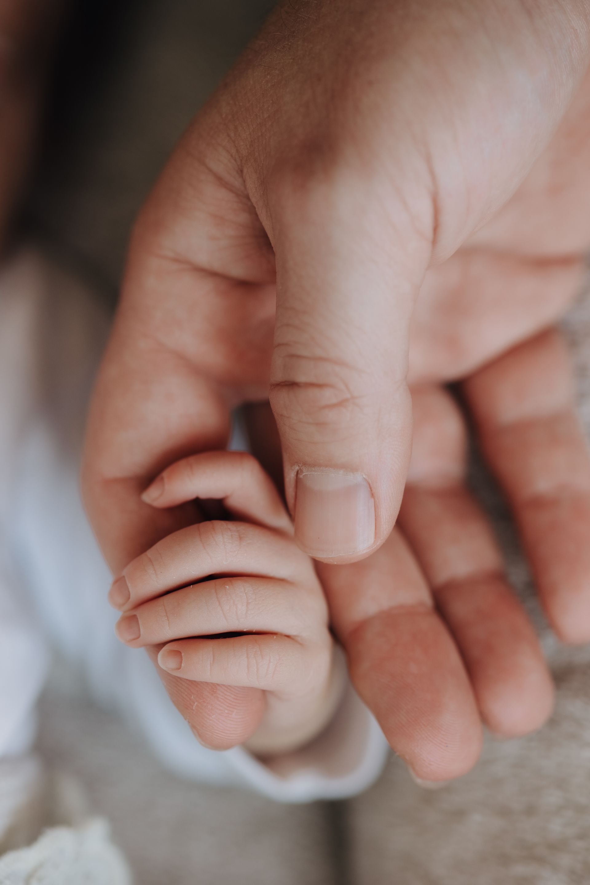 Eine Hand eines Neugeborenes aus einem Babyfotoshooting in den ersten Tagen. Neugeborenenfotografin in Köln und Bergisch Gladbach