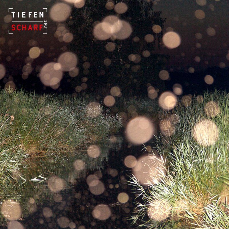 Orbs Naturwesen Lichterscheinungen