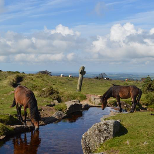 Dartmoort National Park