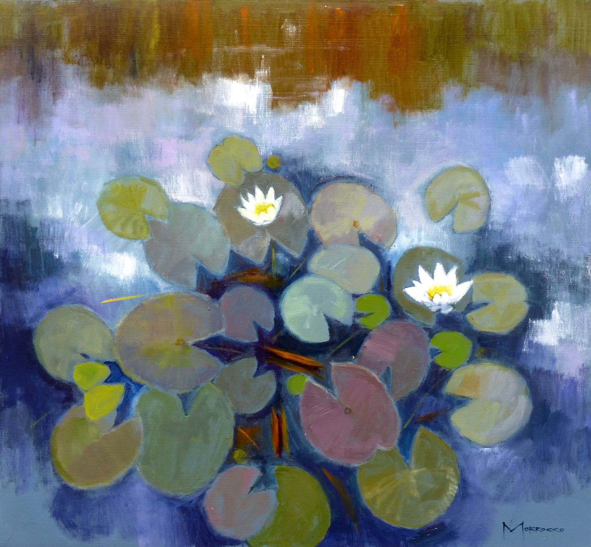 Jack Morrocco
Landscaoe
Lilypond Waterlilies Pond