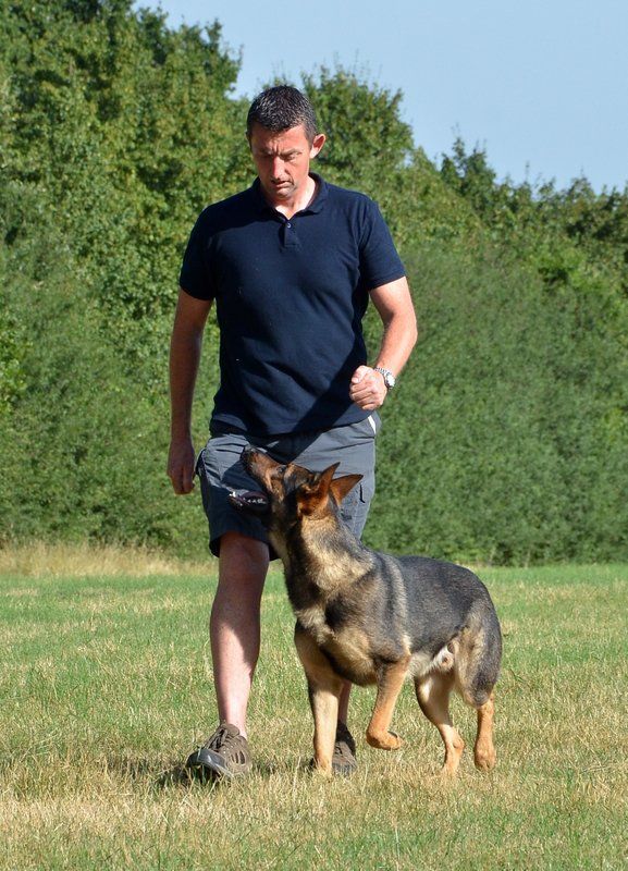 Adrian training his German Shepherd dog