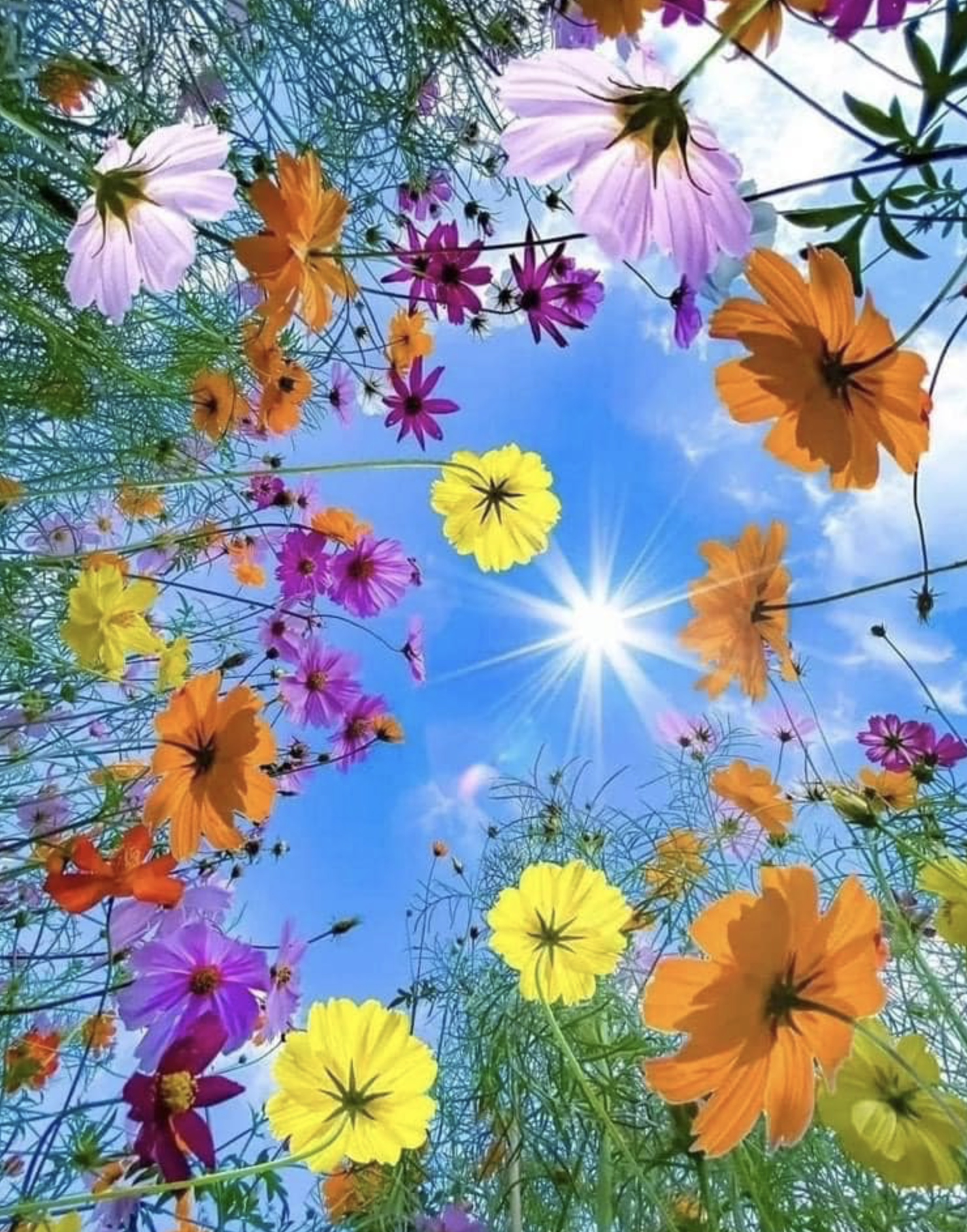 Zwischenräume, Akademie, Kreative Therapie, Persönlichkeitsentfaltung