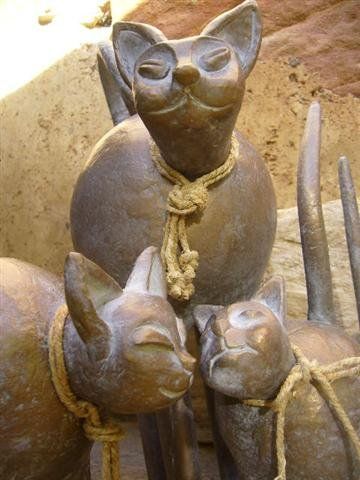 Une chatte et ses petits