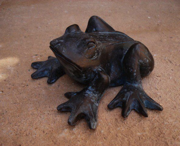 Grenouille terre Patinée Bronze