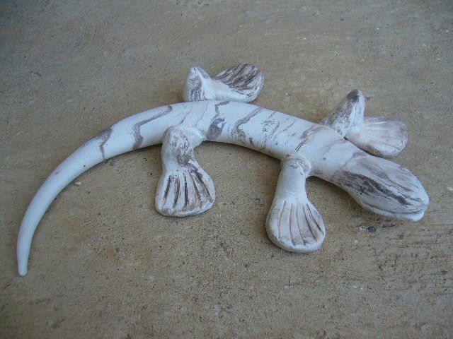 Lézard Terres Mêlées