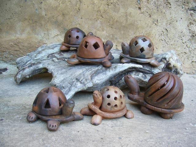 Photophores Tortues
