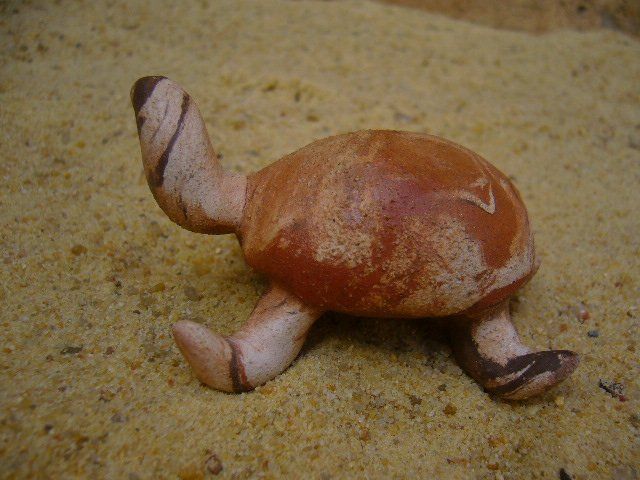 Tortues terres mêlées