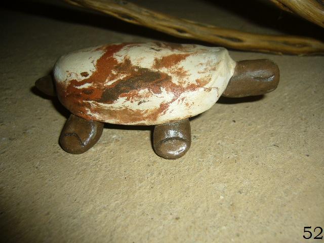 Tortues terres mêlées