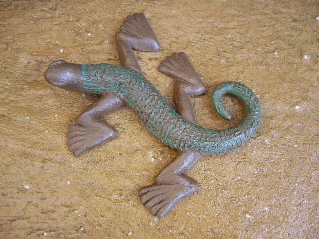 Lézard Grès brun & huile